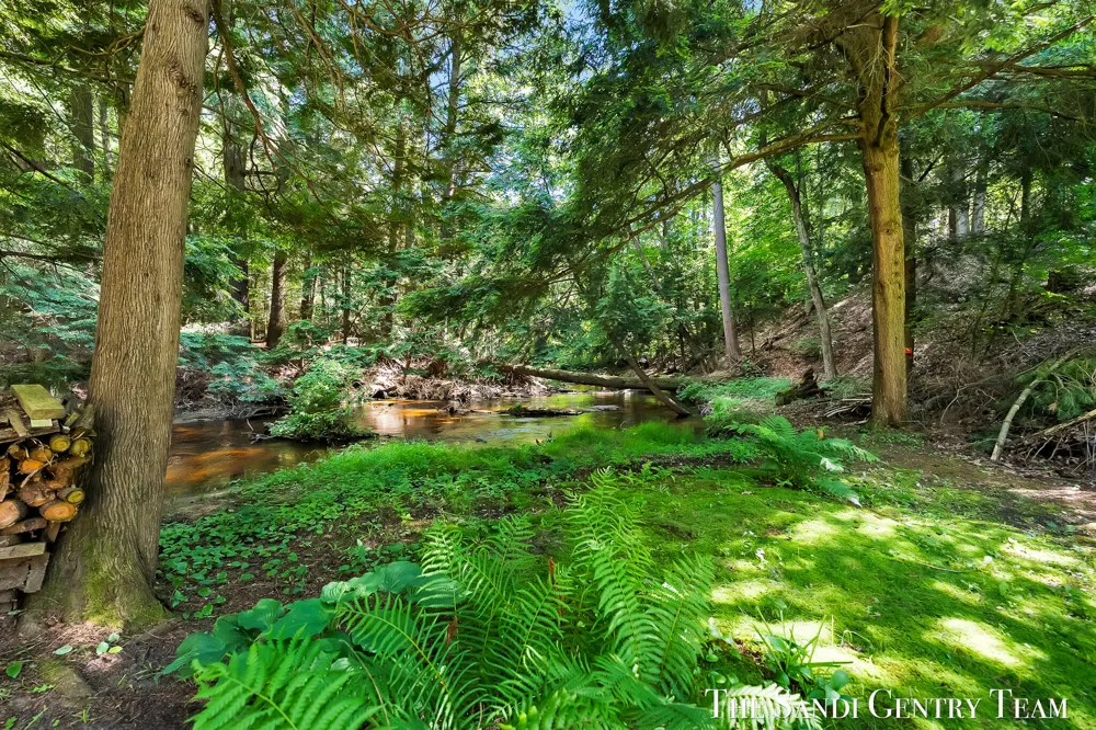 1360 E Bigelow Creek Trail Brooks Township, MI 49337