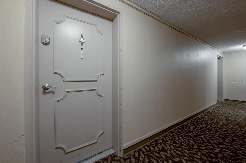 4141 BAYSHORE BOULEVARD #1003 Tampa, FL 33611