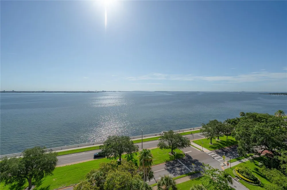 4141 BAYSHORE BOULEVARD #1003 Tampa, FL 33611