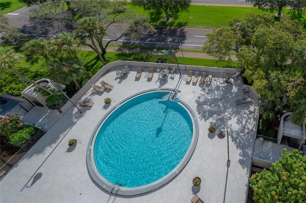 4141 BAYSHORE BOULEVARD #1003 Tampa, FL 33611