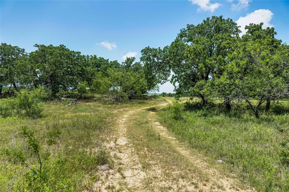 43 281 Highway Jacksboro, TX 76458