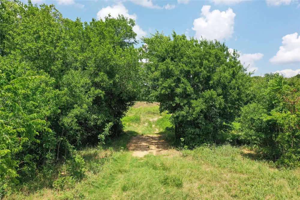43 281 Highway Jacksboro, TX 76458