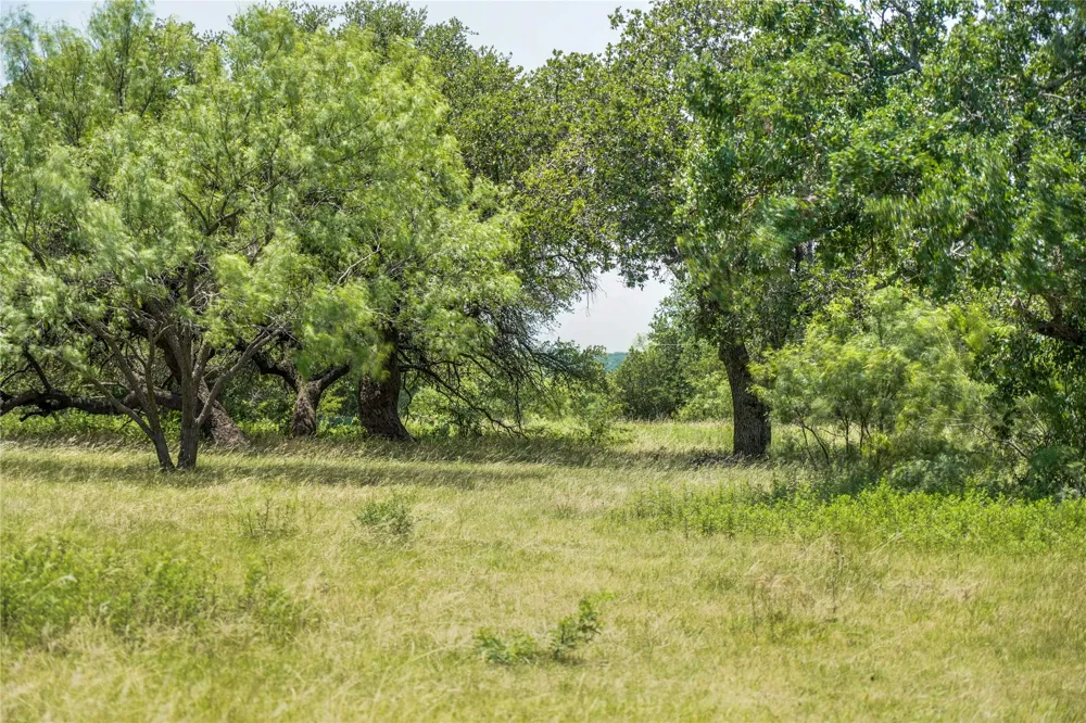 43 281 Highway Jacksboro, TX 76458