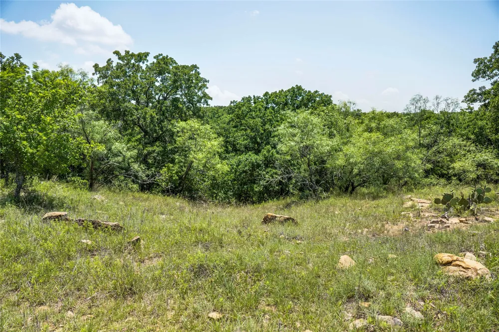 43 281 Highway Jacksboro, TX 76458