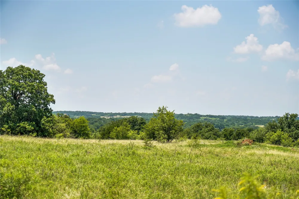 43 281 Highway Jacksboro, TX 76458