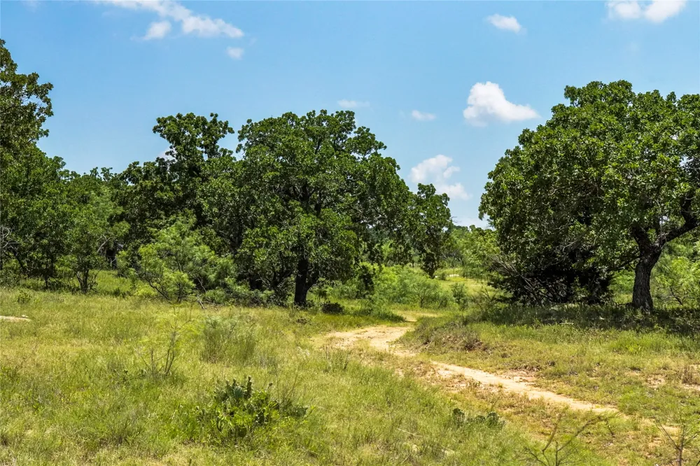 43 281 Highway Jacksboro, TX 76458