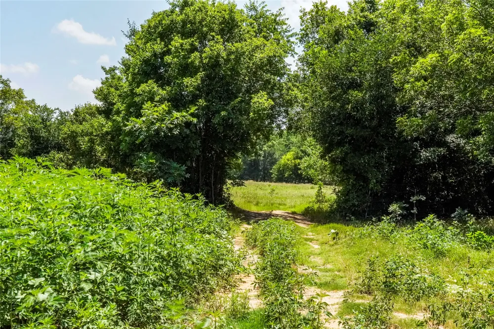 43 281 Highway Jacksboro, TX 76458