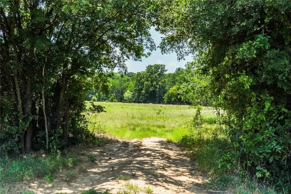 43 281 Highway Jacksboro, TX 76458