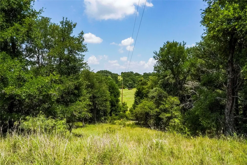 43 281 Highway Jacksboro, TX 76458