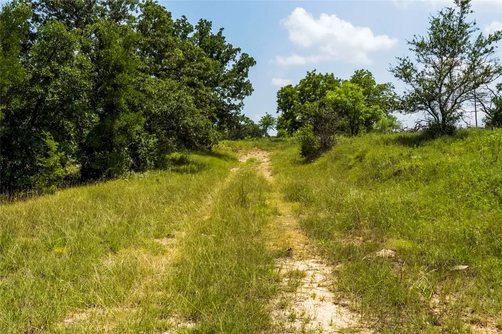 43 281 Highway Jacksboro, TX 76458