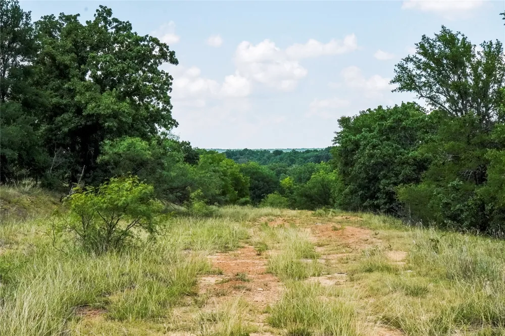 43 281 Highway Jacksboro, TX 76458