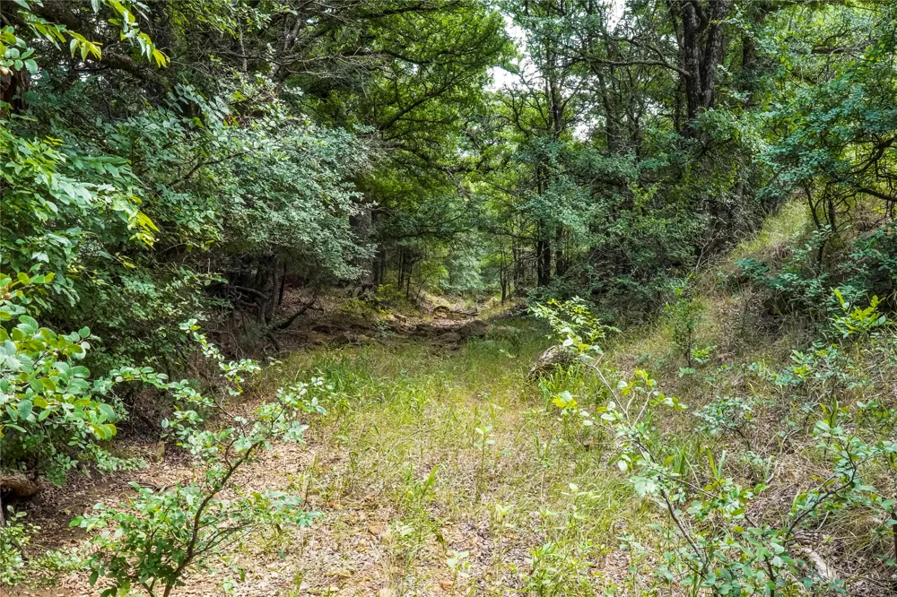 43 281 Highway Jacksboro, TX 76458