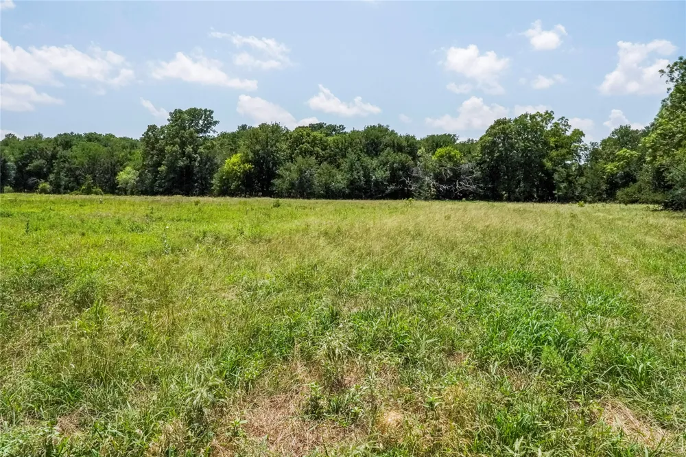 43 281 Highway Jacksboro, TX 76458