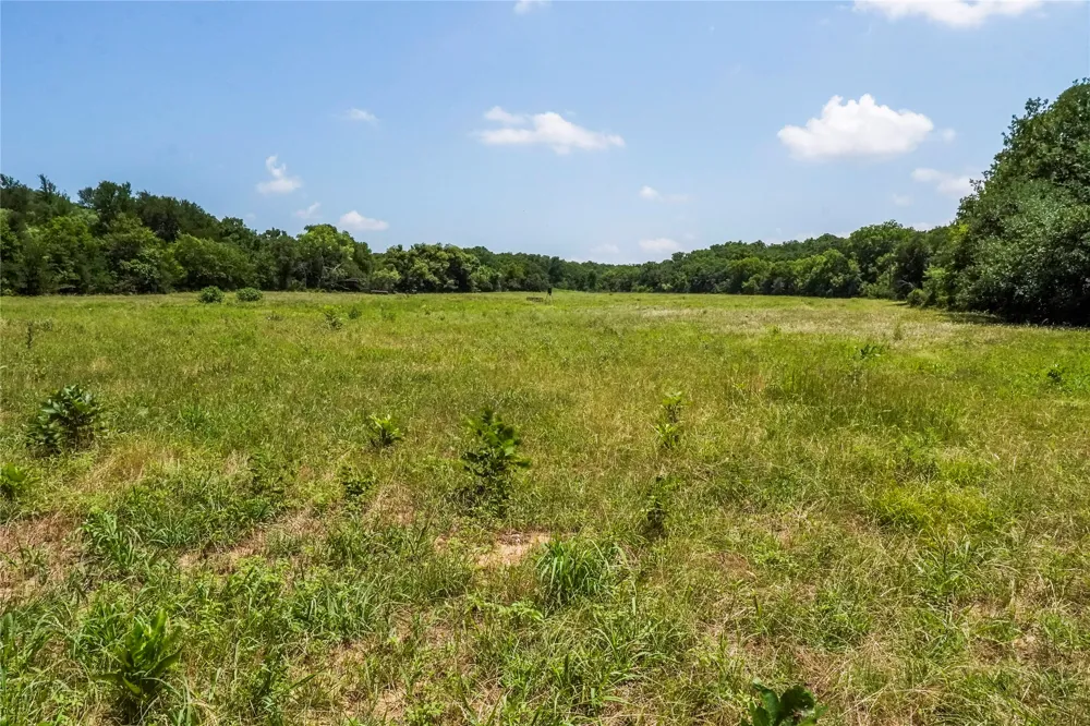 43 281 Highway Jacksboro, TX 76458
