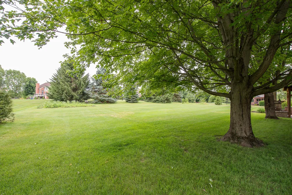 8757 Sydney Drive York Charter Township, MI 48176