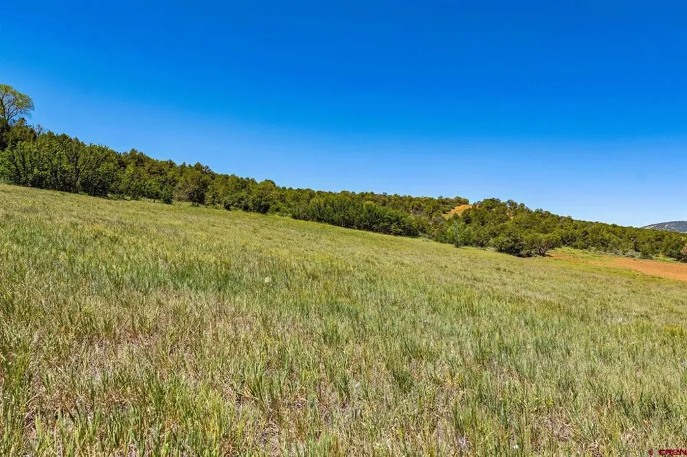 200 Angels Landing Way Durango, CO 81303