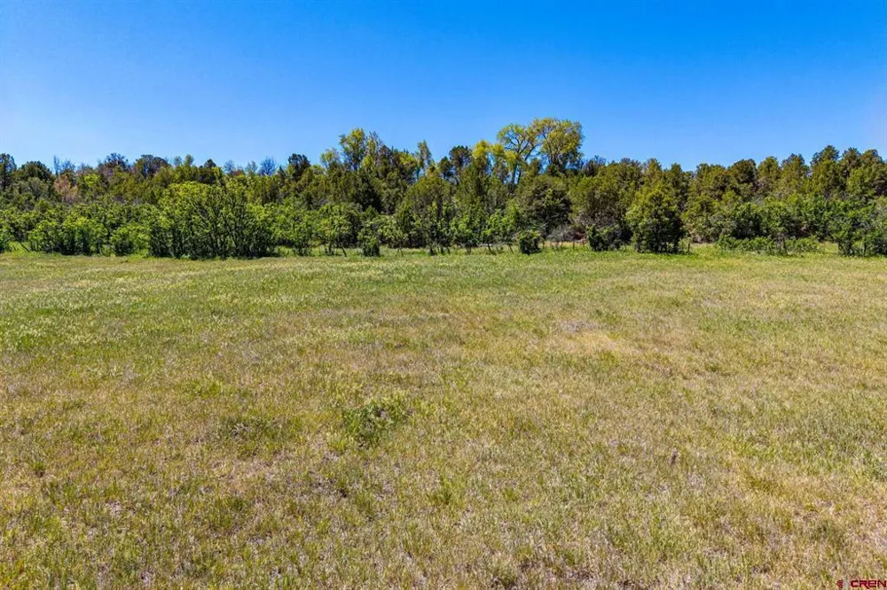 200 Angels Landing Way Durango, CO 81303