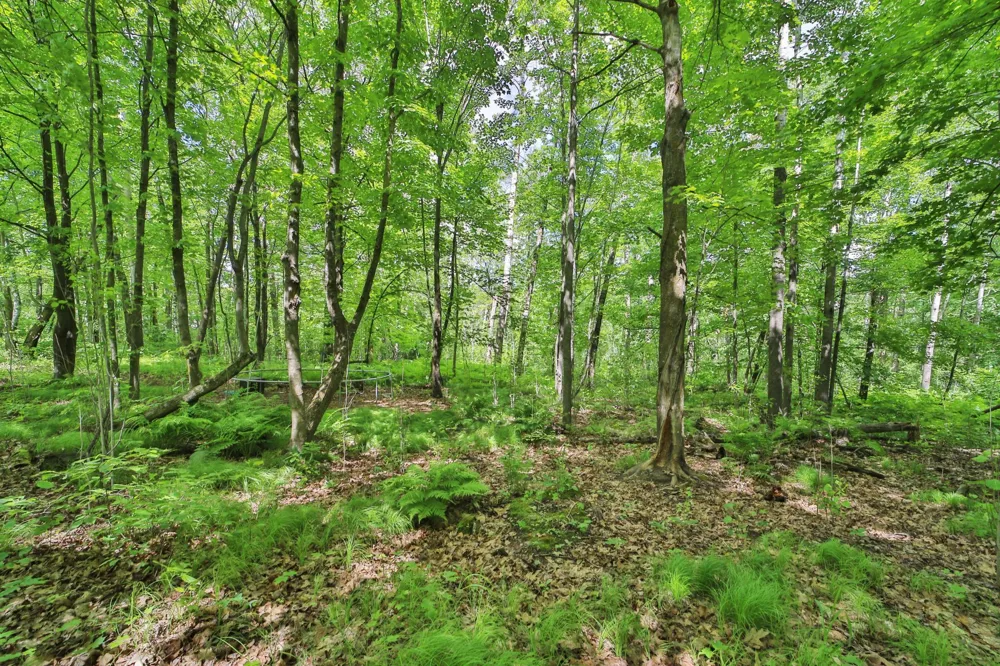 5332 Hyland Road SW Motley, MN 56466