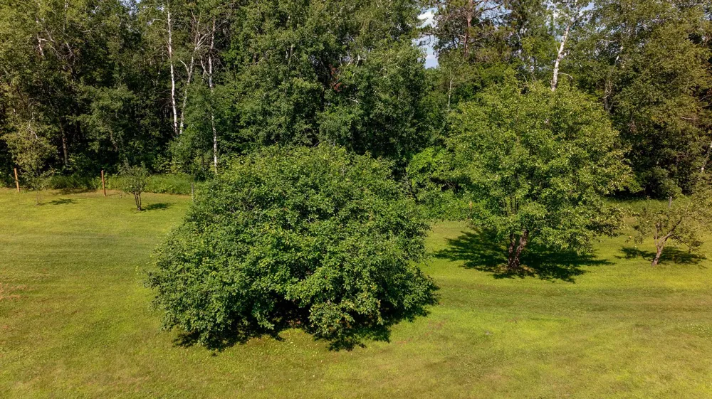 6613 County Road 125 NE Longville, MN 56655