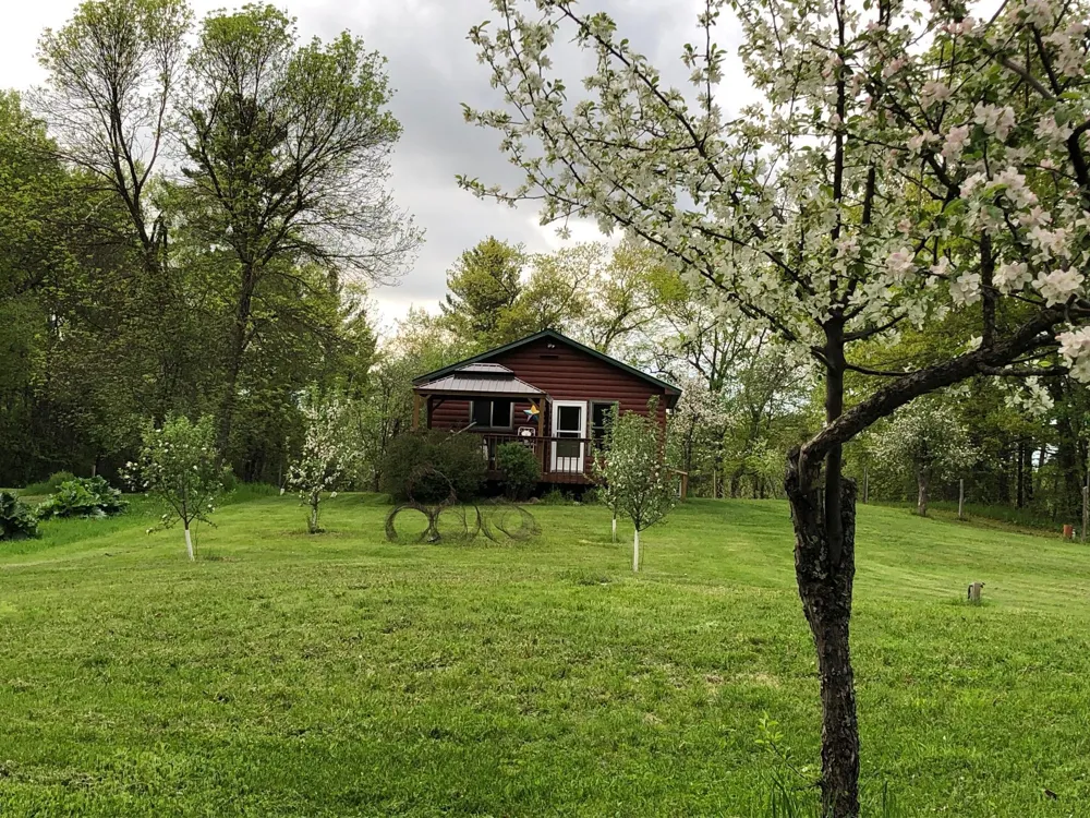 6613 County Road 125 NE Longville, MN 56655