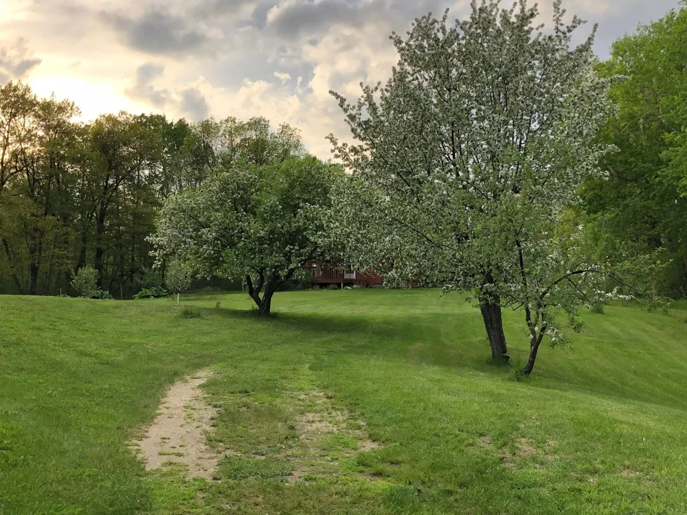 6613 County Road 125 NE Longville, MN 56655