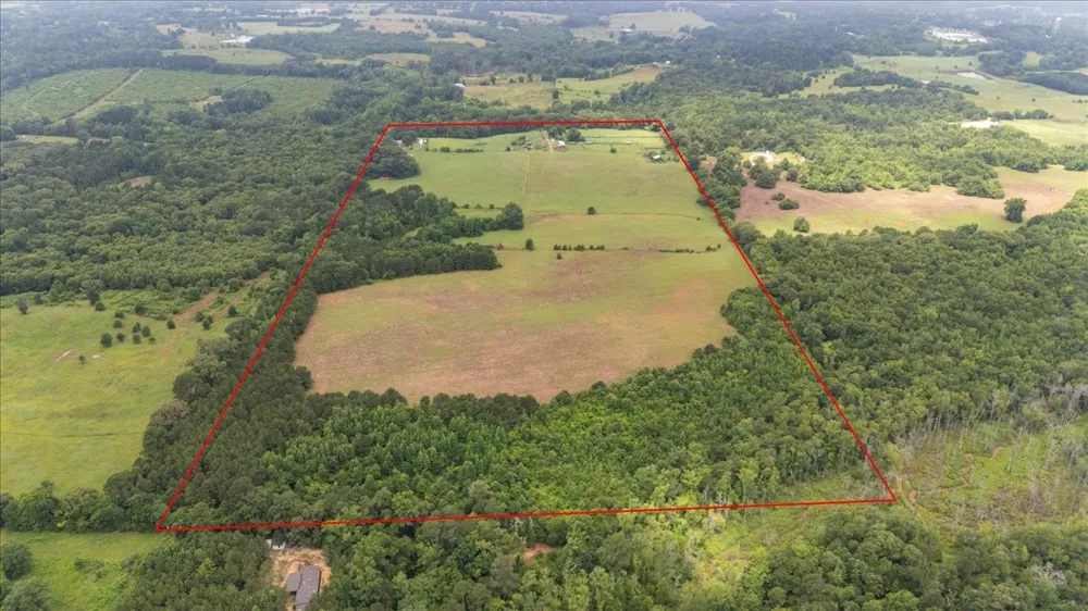 3989 Bob O Link Road Gilmer, TX 75645