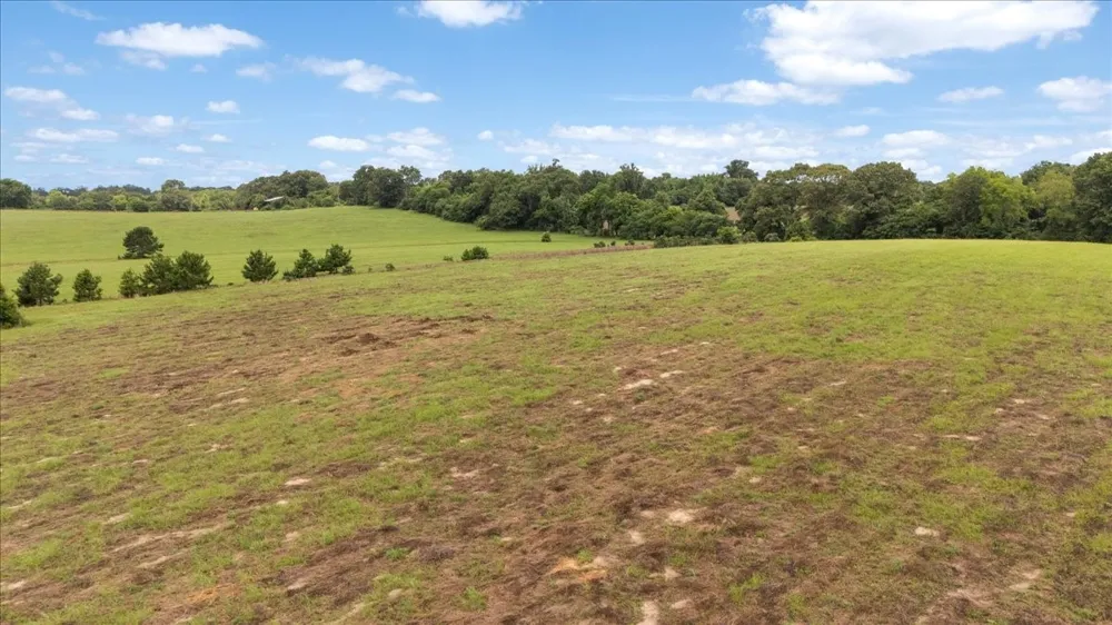 3989 Bob O Link Road Gilmer, TX 75645