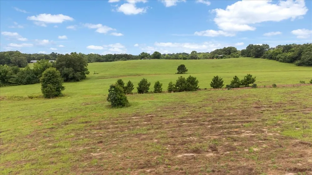 3989 Bob O Link Road Gilmer, TX 75645