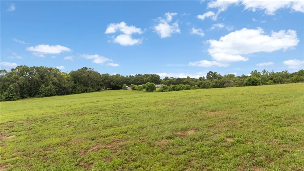 3989 Bob O Link Road Gilmer, TX 75645