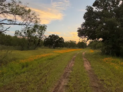FM 1980 tract 1