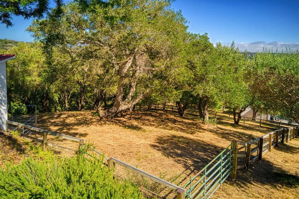 3430 Loma Alta Lane Santa Cruz, CA 95065