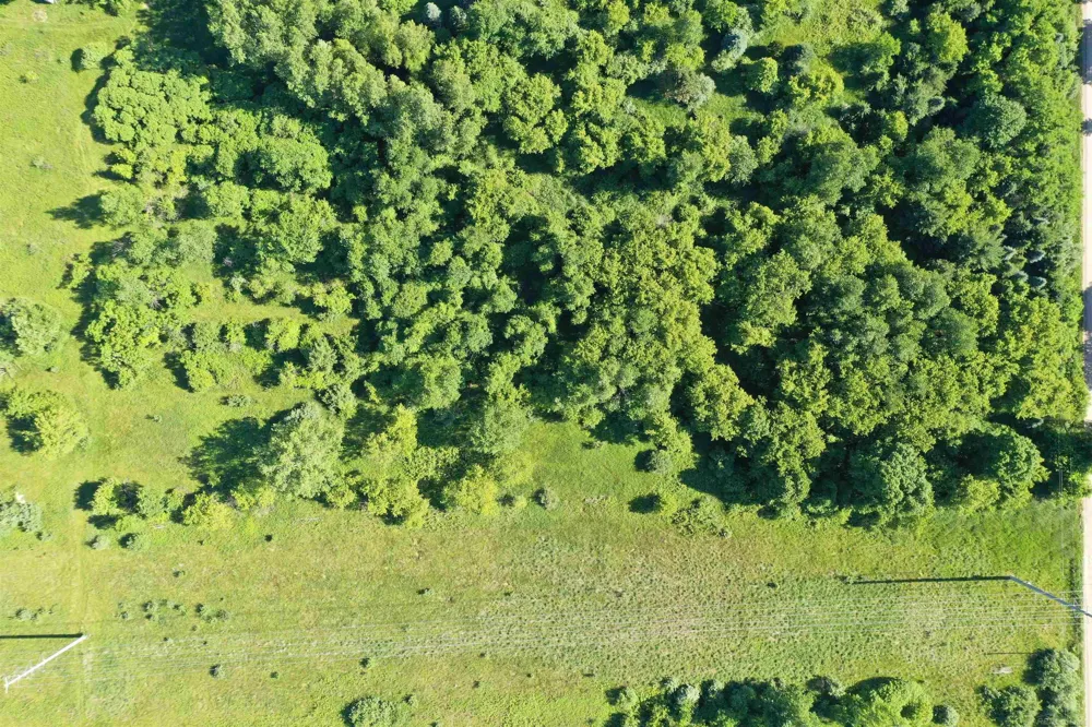 Babcock Road Worth Township, MI 48450