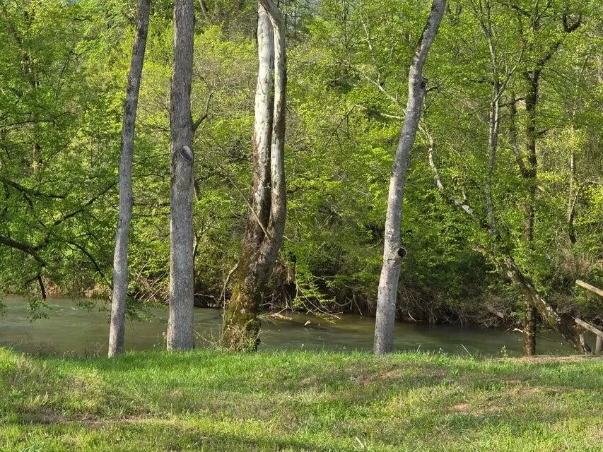 102 Pinnacle Point Drive Dunlap, TN 37327