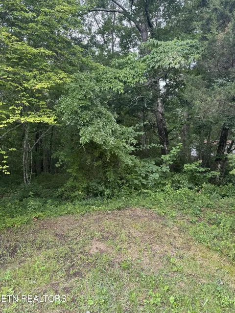 0 Timothy Drive