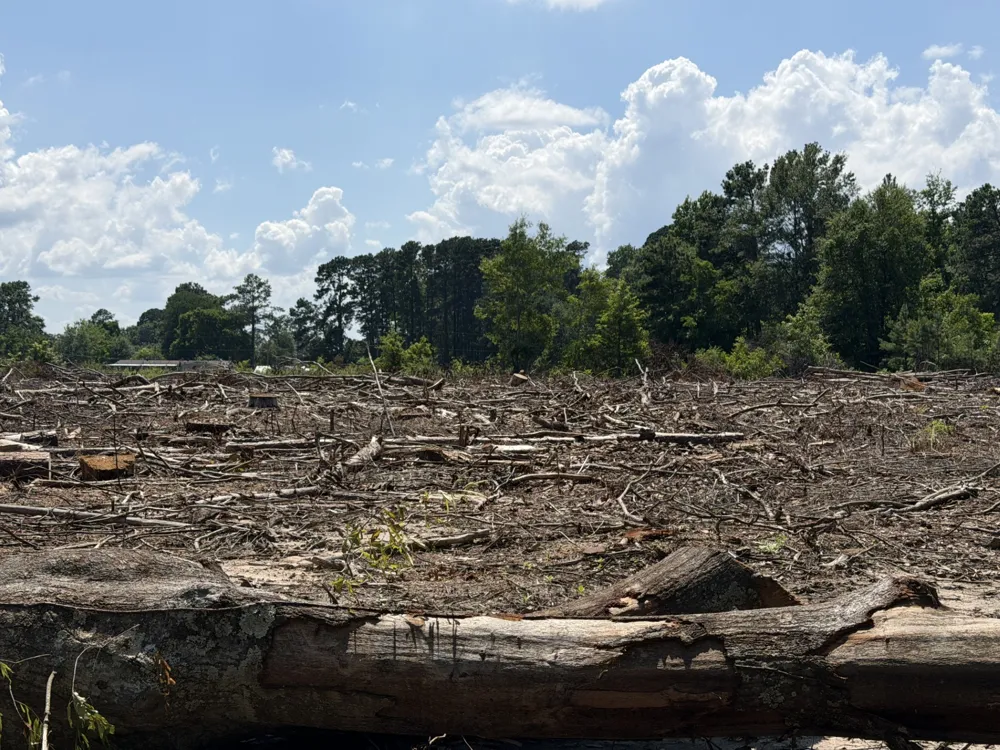 Bogle Road Logansport, LA 71049