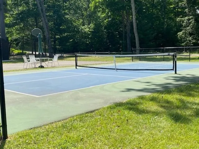 6865 Pinebrook Drive Custer Township, MI 49615