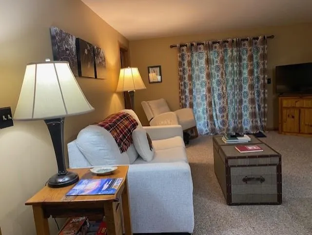 6865 Pinebrook Drive Custer Township, MI 49615