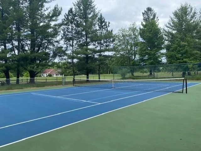 6865 Pinebrook Drive Custer Township, MI 49615