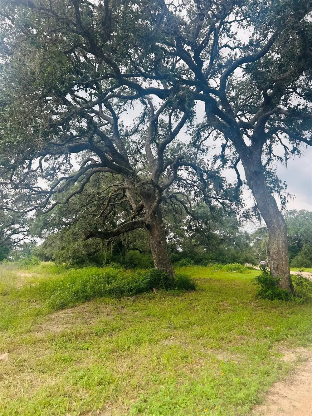 10309 Cr 1 Hallettsville, TX 77964
