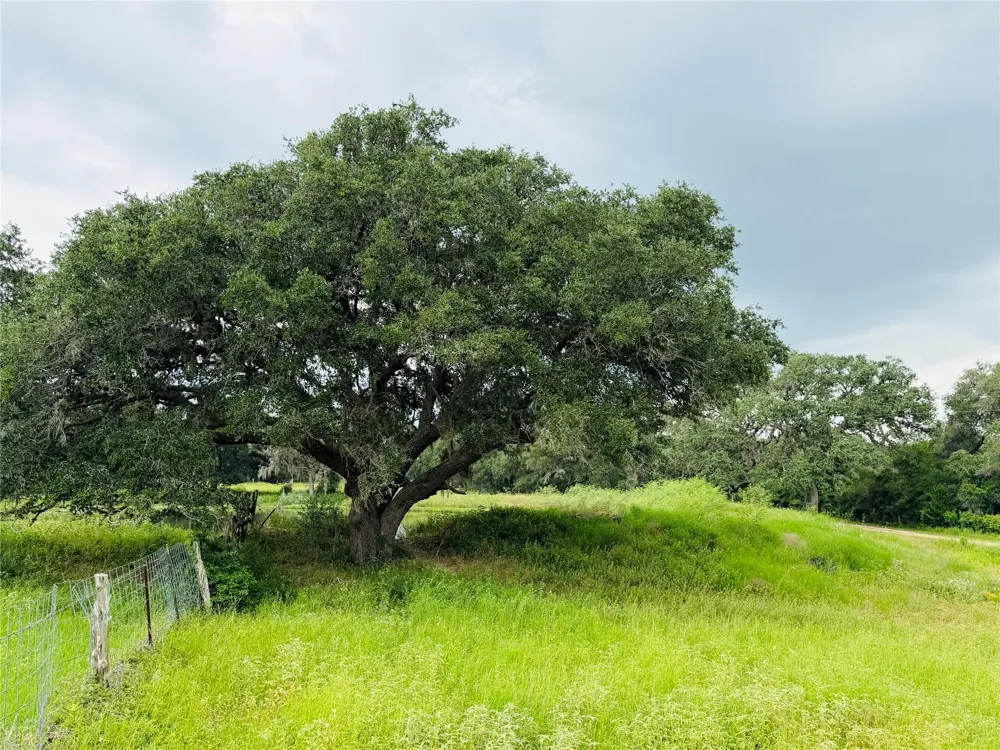 10309 Cr 1 Hallettsville, TX 77964
