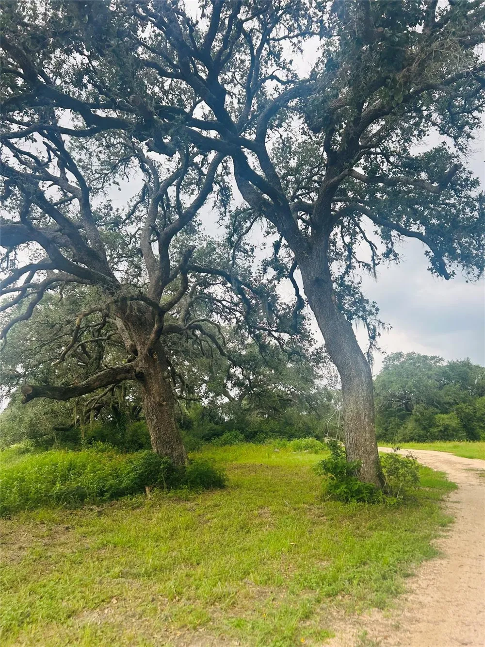 10309 Cr 1 Hallettsville, TX 77964