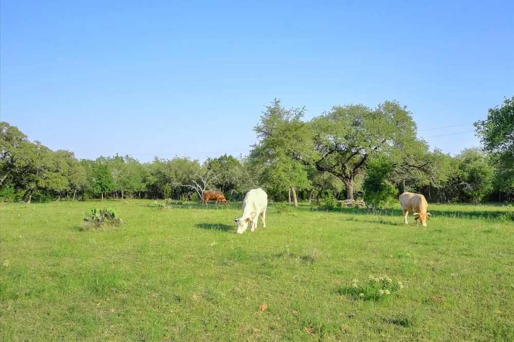 RIVER MOUNTAIN ROAD Wimberley, TX 78676