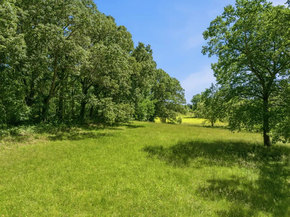 55 Bell Ln Paris, TN 38242