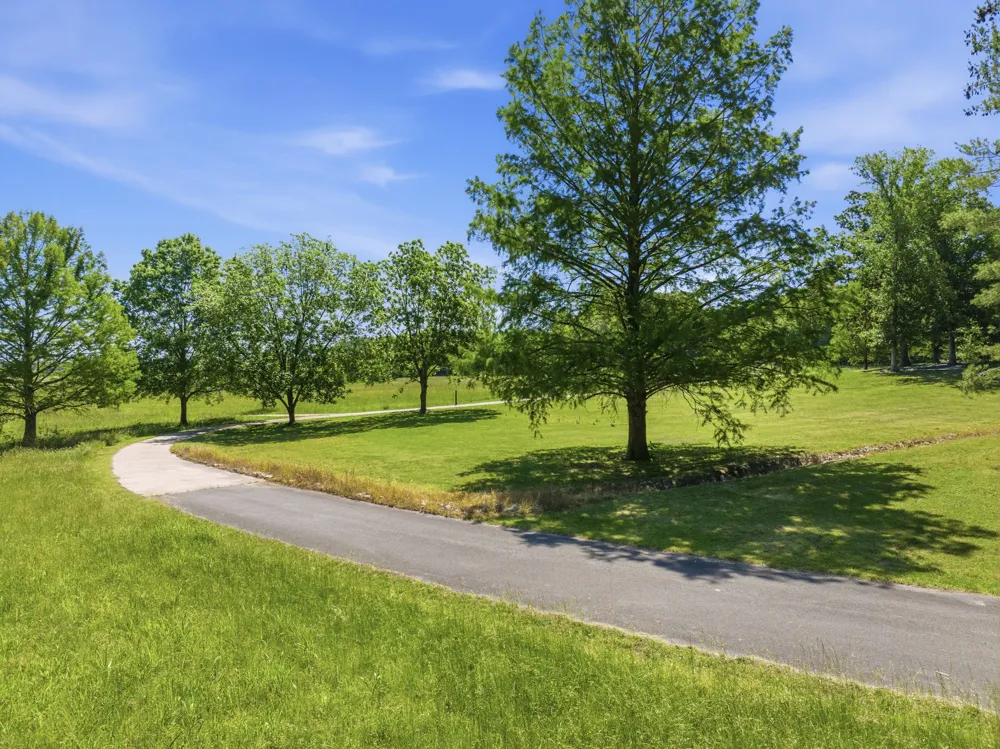 55 Bell Ln Paris, TN 38242