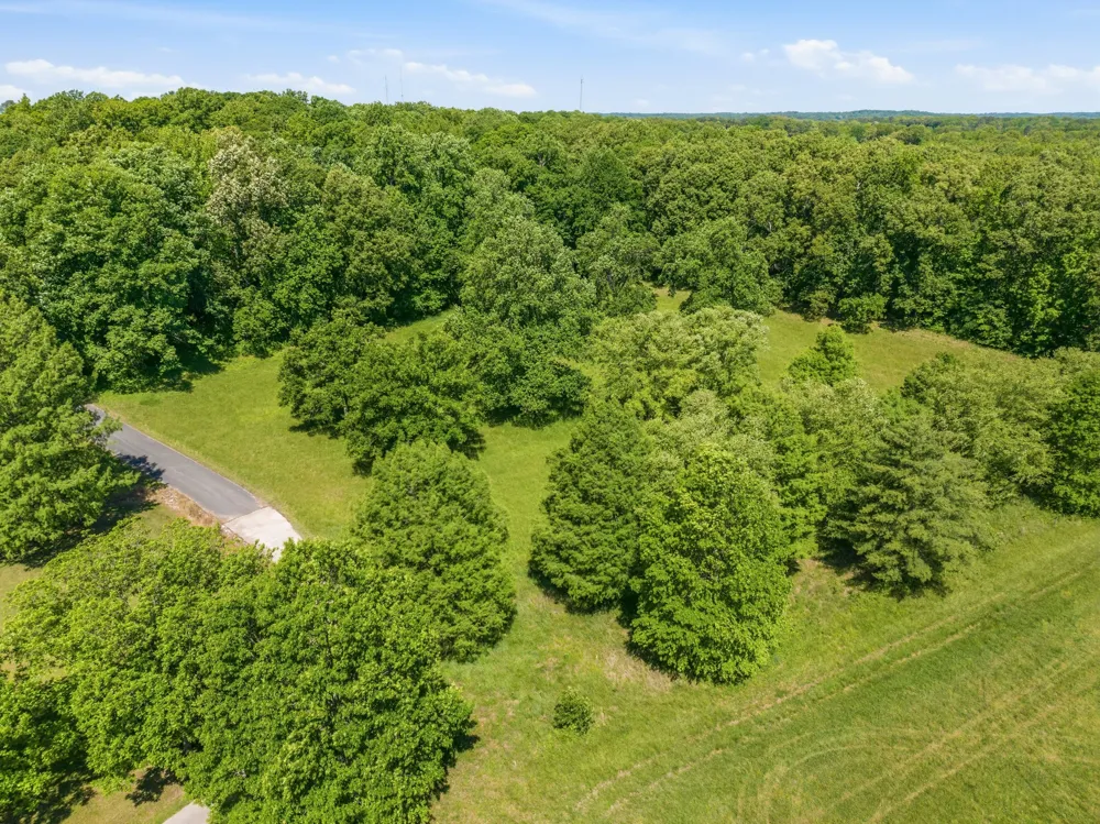 55 Bell Ln Paris, TN 38242