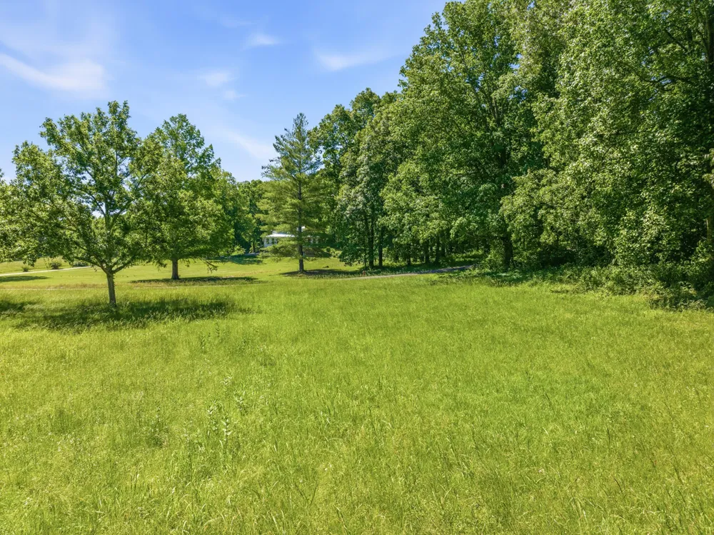55 Bell Ln Paris, TN 38242