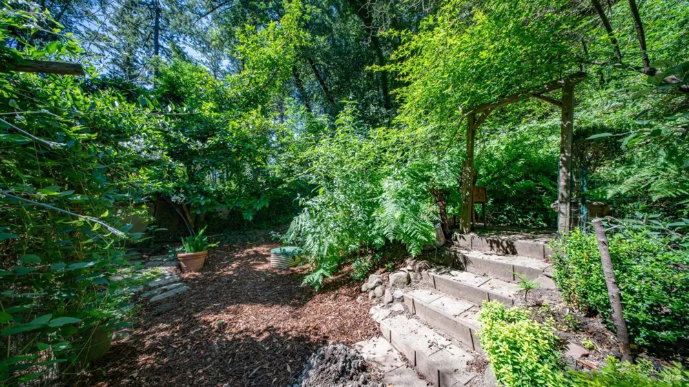 185 Tamal Road Forest Knolls, CA 94933