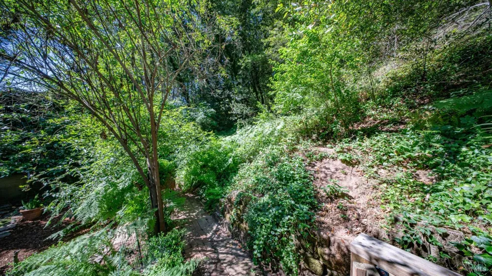 185 Tamal Road Forest Knolls, CA 94933