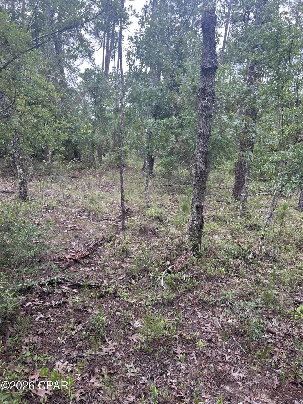 Abraham Street Alford, FL 32420