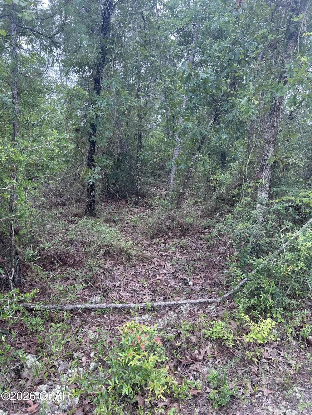 Abraham Street Alford, FL 32420